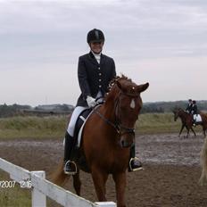 Anden særlig race Jardih. solgt 2009