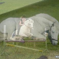 Connemara Lucky strike