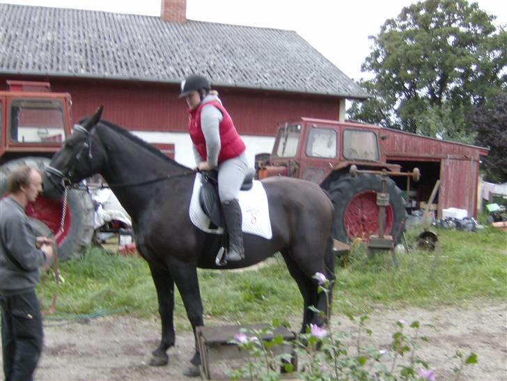 Oldenborg Diosa af stensbjerg - Første gang jeg rider på hende. 01-09-07 billede 13