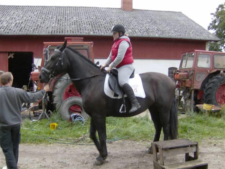 Oldenborg Diosa af stensbjerg - Første gang jeg rider på hende. 01-09-07 billede 14