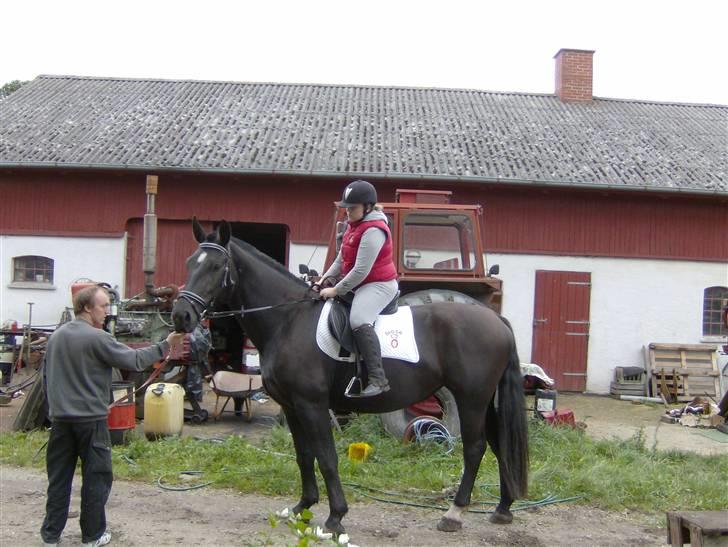 Oldenborg Diosa af stensbjerg - Første gang jeg rider på hende. 01-09-07 billede 15