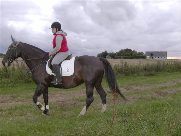 Oldenborg Lidiane  billede 16