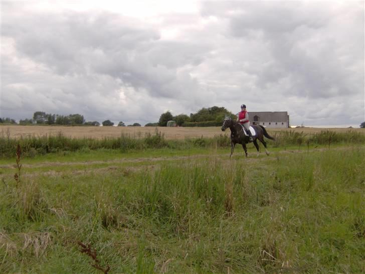 Oldenborg Lidiane  billede 17