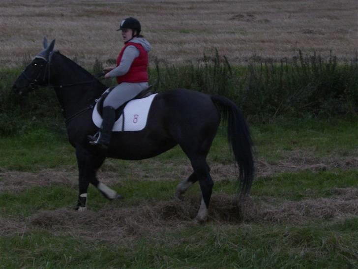 Oldenborg Lidiane  billede 18