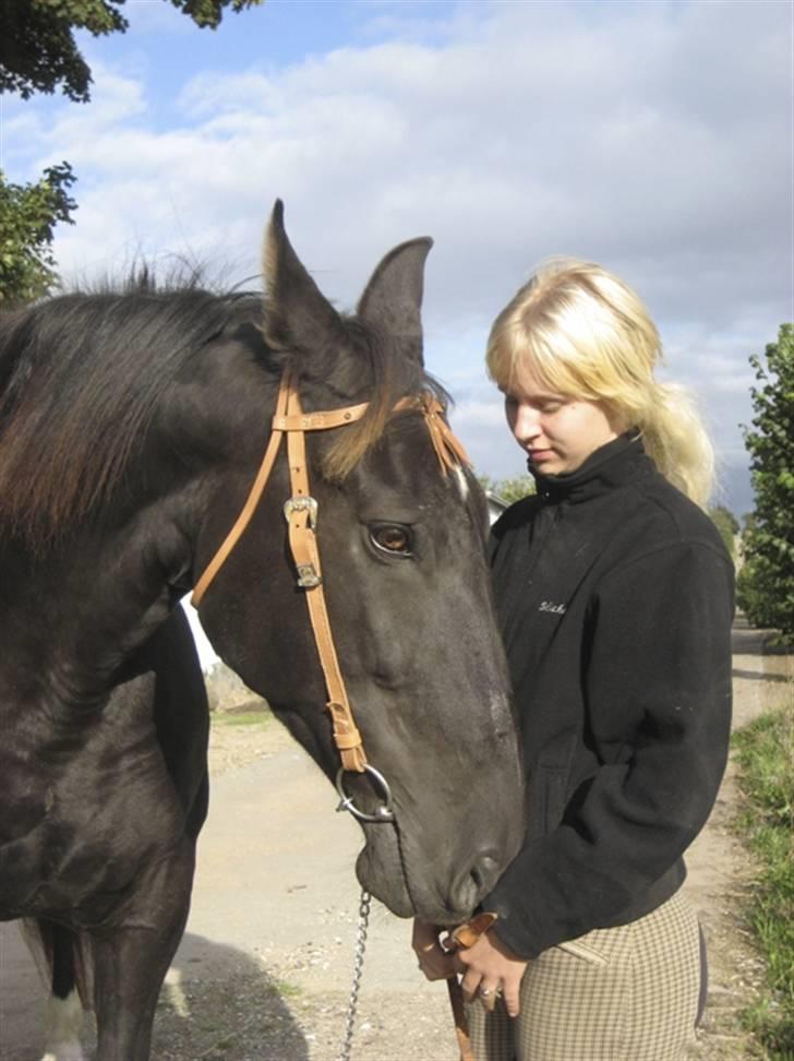 Oldenborg ¤Sweety¤Rider ikke mere¤ - Jaa, vi bliver bedre og bedre sammen :) August 07 billede 7