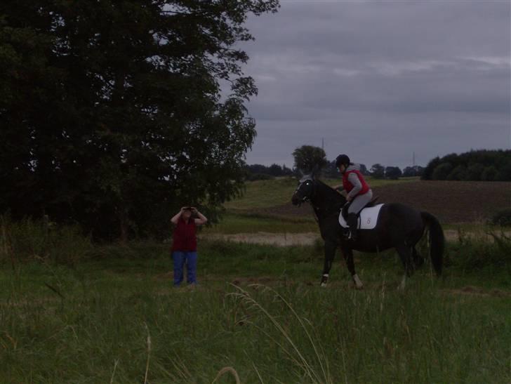 Oldenborg Lidiane  billede 19