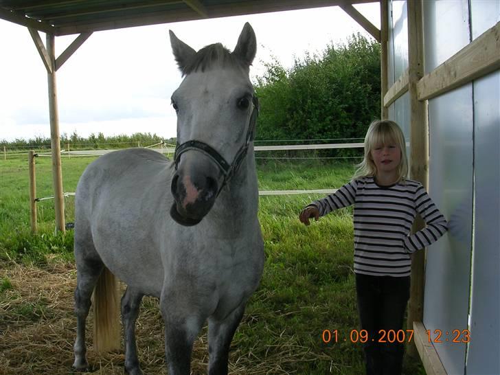 Anden særlig race Hannibal  *SOLGT* - Sfie og Hannibal... billede 18