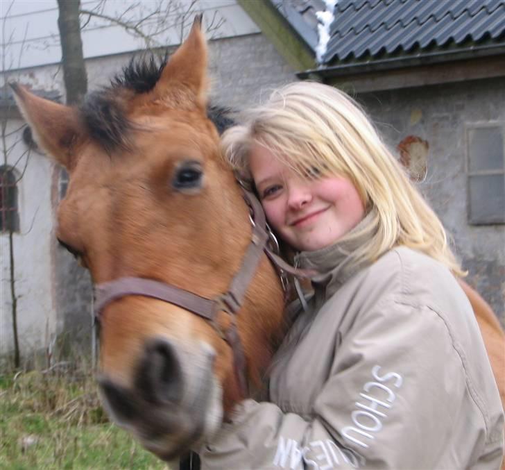 Anden særlig race Bambi billede 4