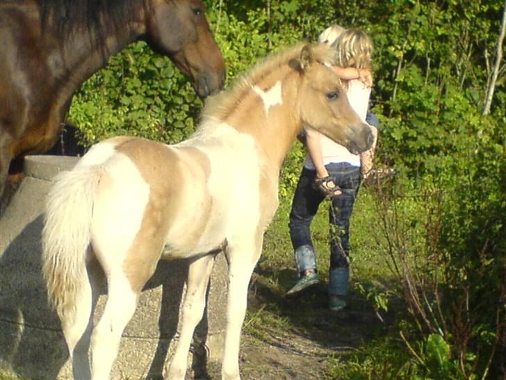 Anden særlig race Surprise  - Nøjjj , hvad sker der , der ? :p billede 1