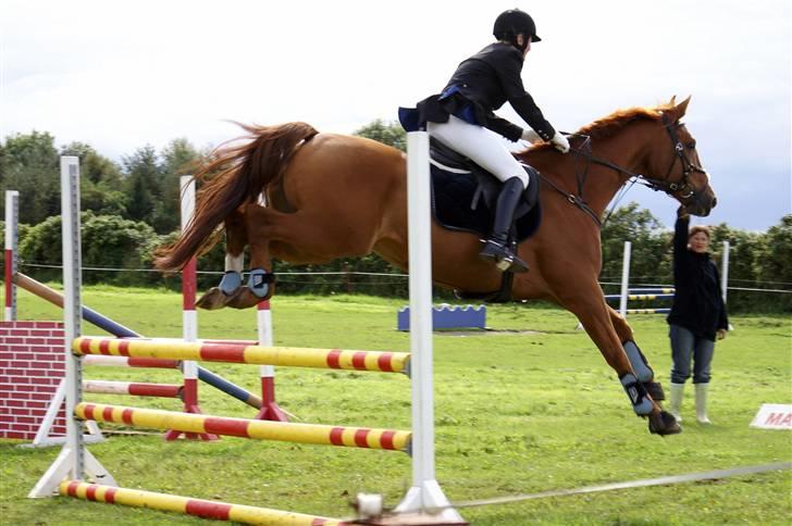 Dansk Varmblod Scholes (R.I.P. ) - igen et spring i lc:) billede 9