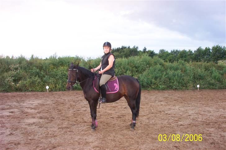 New Forest Flicka - mig og tulle pi (L) billede 4