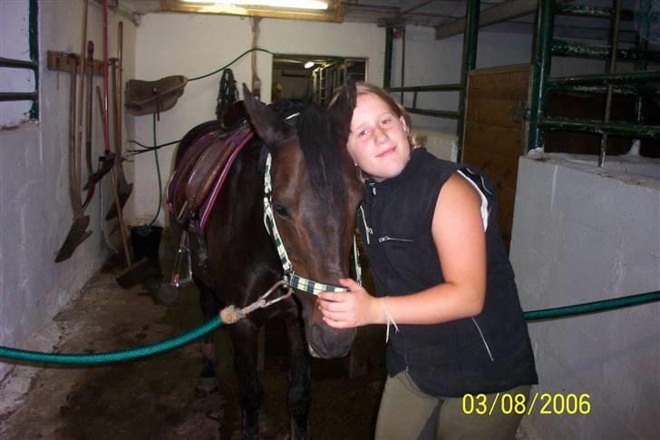 New Forest Flicka - mig og Flicka <´3 billede 5