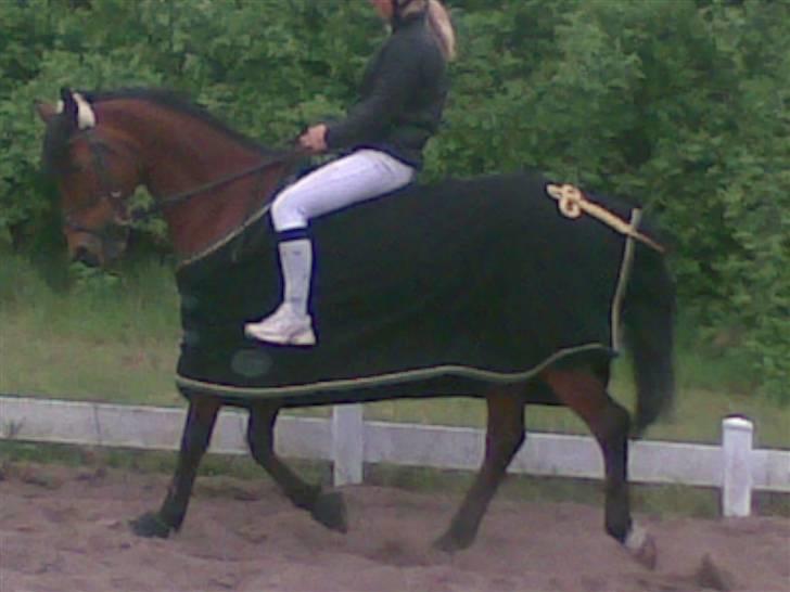 Anden særlig race Chateau***Solgt*** - Nye Ejer Annika billede 16