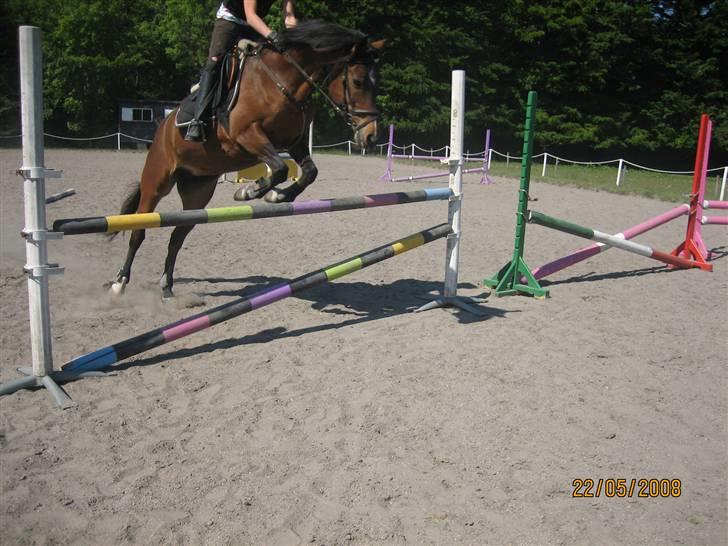 Anden særlig race Senta - Her springer vi 95 :D <3 jeg elsker dig pony! billede 9