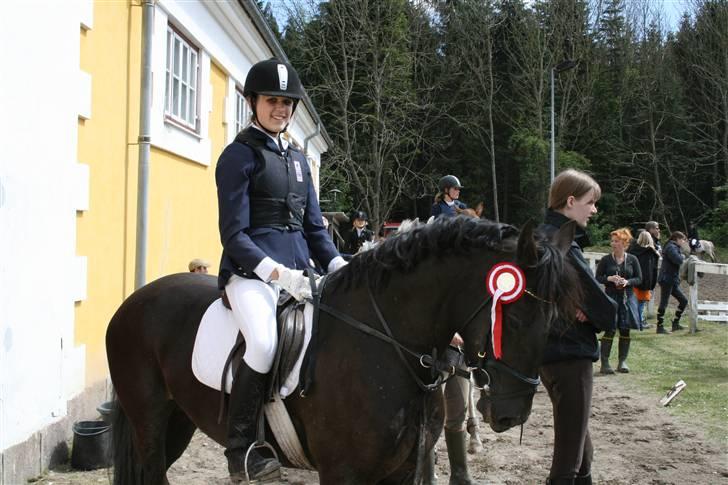 Welsh Cob (sec D) Silva - 1. plads i Jokerspringningen (: du er så fantastisk pony, elsker dig! billede 5
