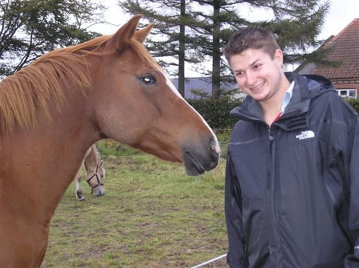 DSP Safirs Laika billede 16