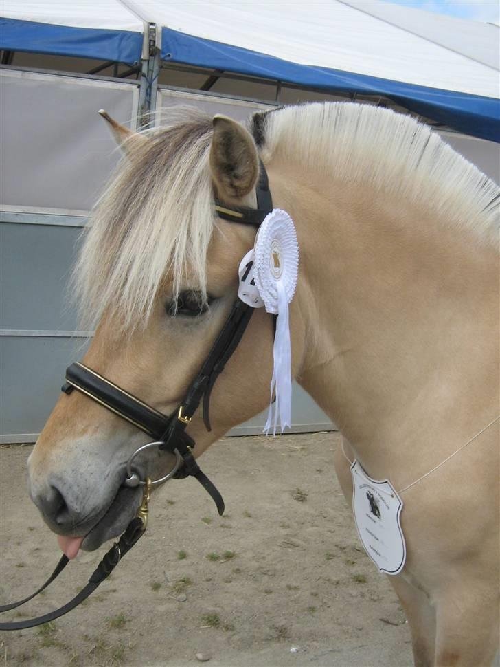 Fjordhest Fenja Strødam  - Roskilde 2009, 2 års billede 5