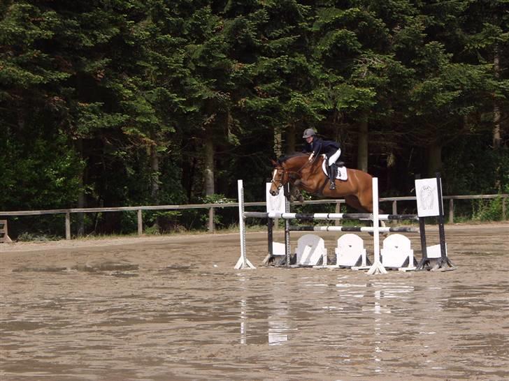 Dansk Varmblod Lirona RDH 3959 - Distriktsmesterskab for hold 2007 billede 4