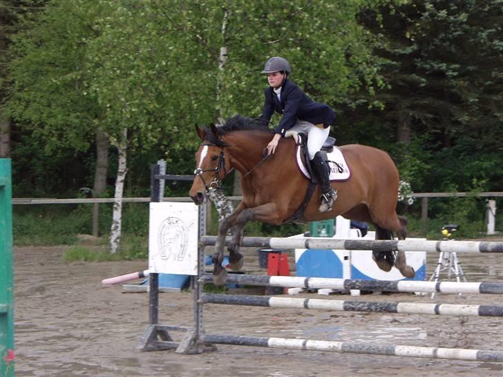 Dansk Varmblod Lirona RDH 3959 - Distriktsmesterskab for hold 2007 billede 5