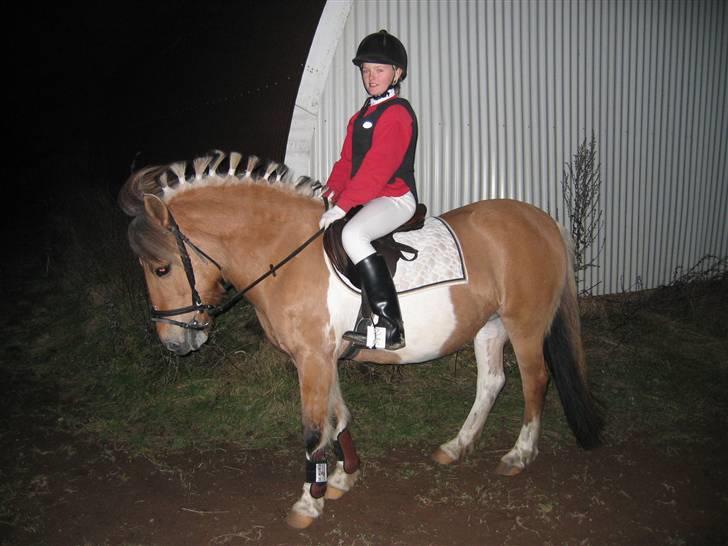 Anden særlig race Safir(Du er i mit hjert  - her venter vi på at komme ind på banen,.. billede 14