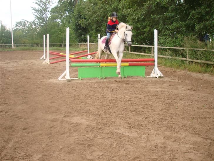 Connemara pilgaard`s silver stone  - På vej ud af trekombinikationen.. (Staves)??:-) billede 9