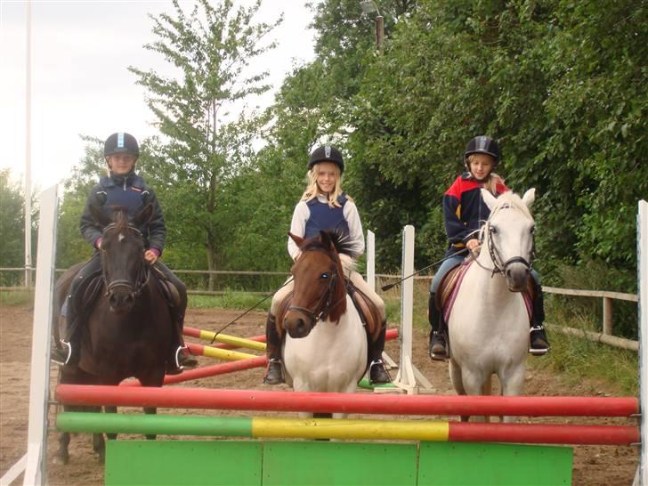 Connemara pilgaard`s silver stone  - Gruppebilede:DFra højre: Sille & mig, Klokkeblomst & Christina og Shiva & Johanne <3 billede 11