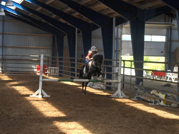 Dartmoor Anc-neu Duo (solgt) -  Vi var så gode..! <33 ILU<3 billede 3