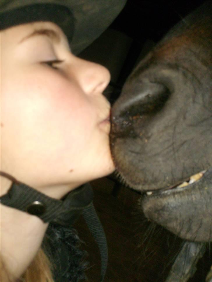 Dartmoor Anc-neu Duo (solgt) - **NYEST**  ALLER sidste kys! =´/ billede 5