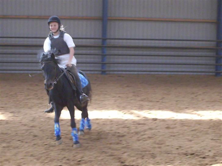 Dartmoor Anc-neu Duo (solgt) - **NYT** Lidt galop!  der er vi vist glade! billede 12