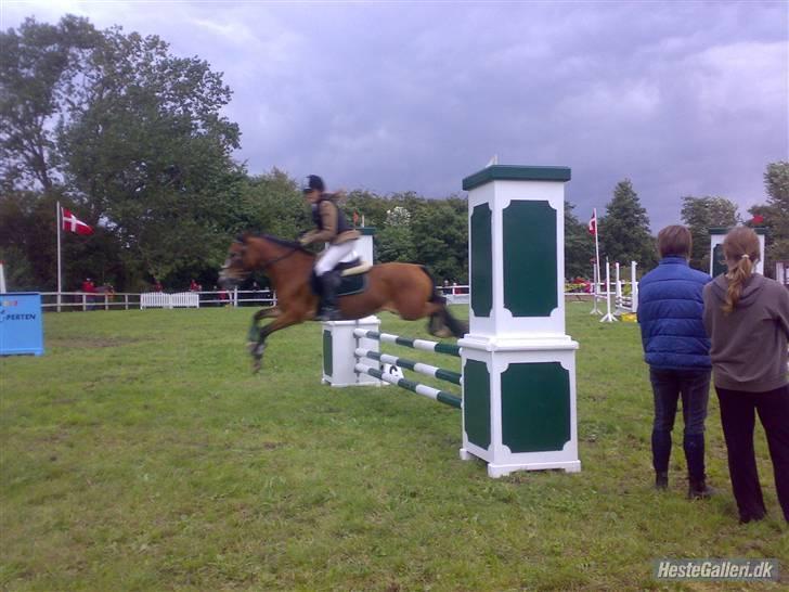 Anden særlig race Nielsen's Little Star  - Fyensmesterskaberne 2007 billede 13