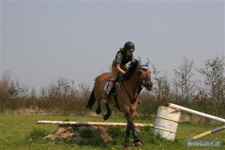 Anden særlig race °º• Frk Smilla •º°- SOLGT billede 19