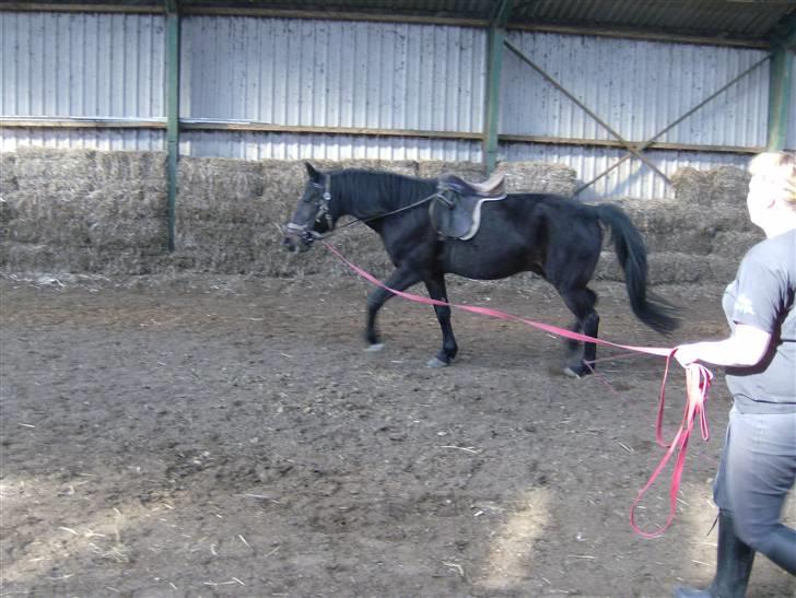 Traver Ekstra Nielsminde R.I.P - vi prøve billede 1