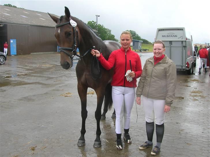 Dansk Varmblod Engvangs Richesse RDH  - kåring på vilhelmsborg, blev kåret i RDH ;D billede 13