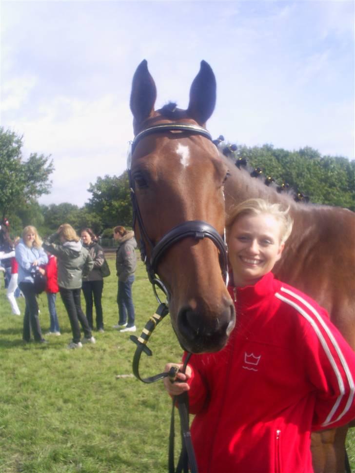 Dansk Varmblod Rondo Quintus, Solgt, R.I.P. - st. hestedag 2007 billede 15