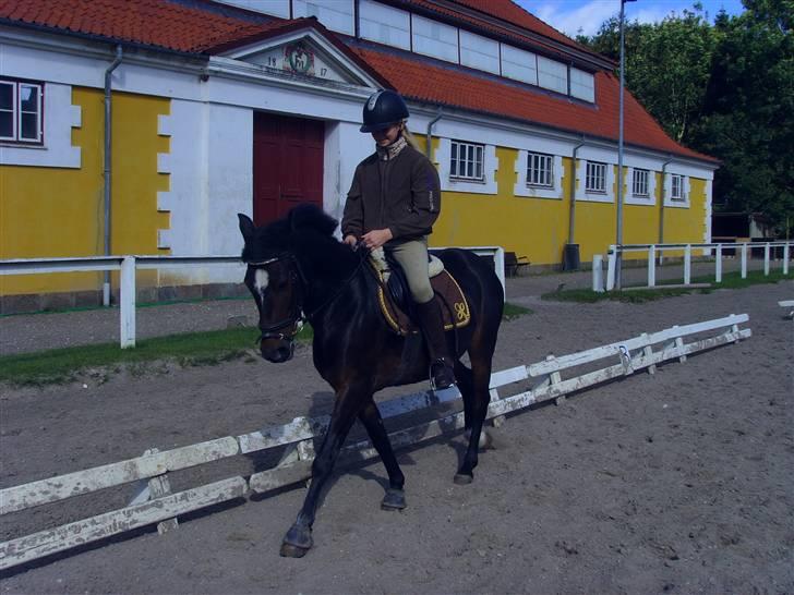 Anden særlig race Cherie * mit alt :'(* billede 14