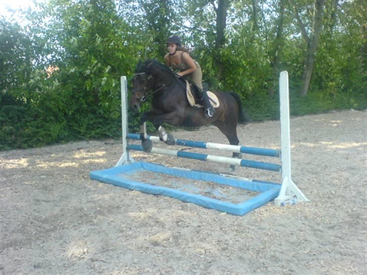 Anden særlig race DIBA - 7/8/07 billede 19