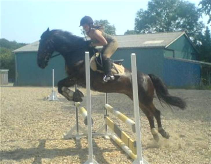 Anden særlig race DIBA - 7//07 billede 20