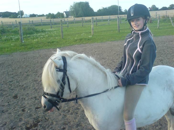 Anden særlig race Daisy - mit ynglings billede(: billede 20