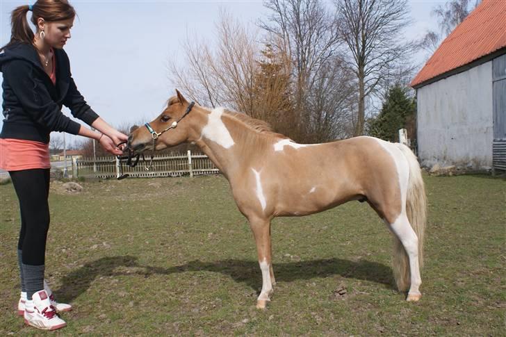 Miniature Scout Zodiacs Little Boy  - Little Boy som lige er klippet .. 2009 billede 1