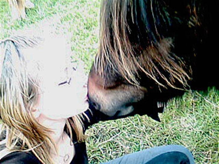 Shetlænder Stjernens Mini-Adore - at sidde og kysse og nusse med dig , kan jeg gøre i timevis :-* <33 billede 4