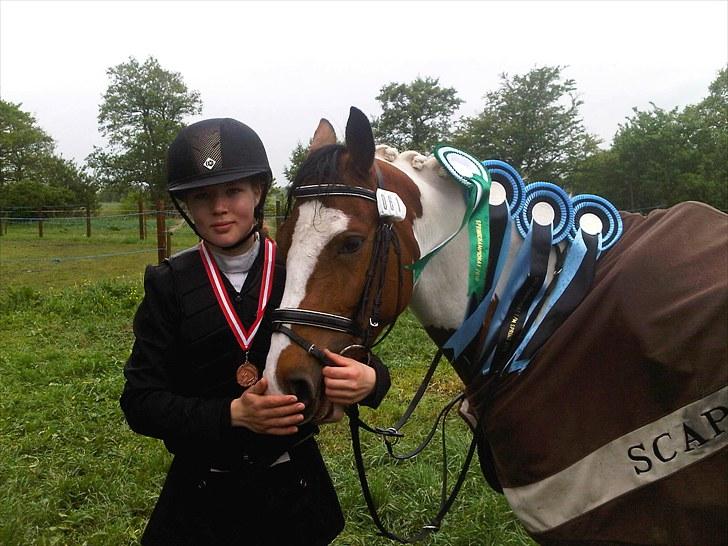 Pinto * minjetta * - Lige efter præmieoverrækkelse på kallehaven L championater blev nr. 3 :) billede 5