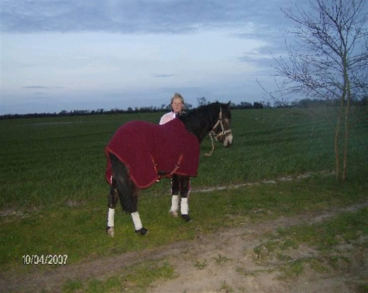 Anden særlig race Lotte R.I.P - lottes føl fra 2005. ( er blevet stor ) billede 20