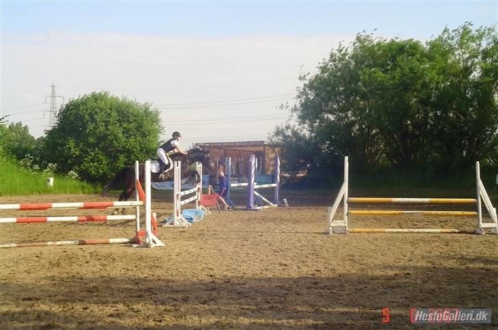 Dansk Varmblod Dynamit *R.I.P* - Lidt springning med louise på ryggen:) billede 11