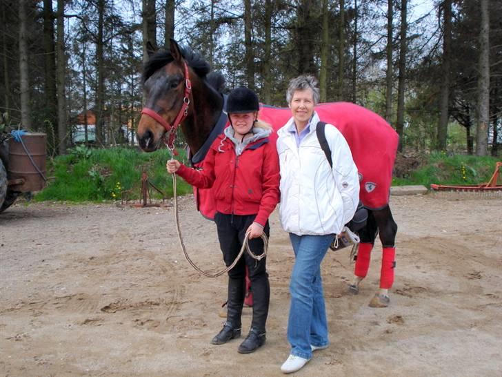 Dansk Varmblod Ny Ågårds Amoena  DULLEN B-Hest - Birgit var lige oppe og kikke undervisning, ved Bjarne billede 8