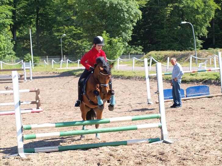 DSP Lanciano Kærlund A-PONY - springer ;) taget af trine elvik :) billede 5