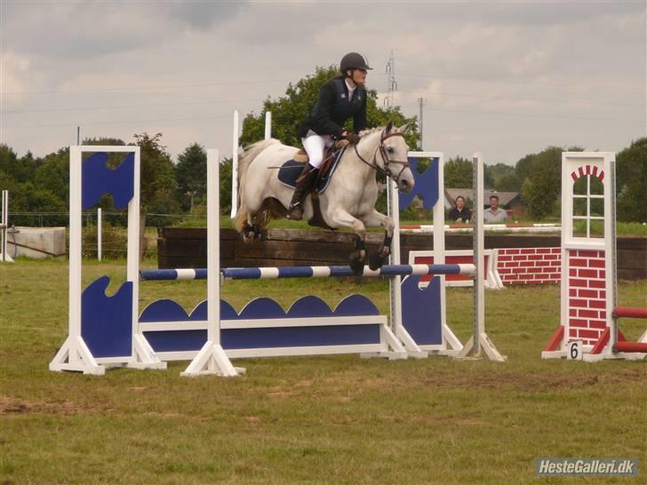Anden særlig race Flicka(solgt ) * billede 14