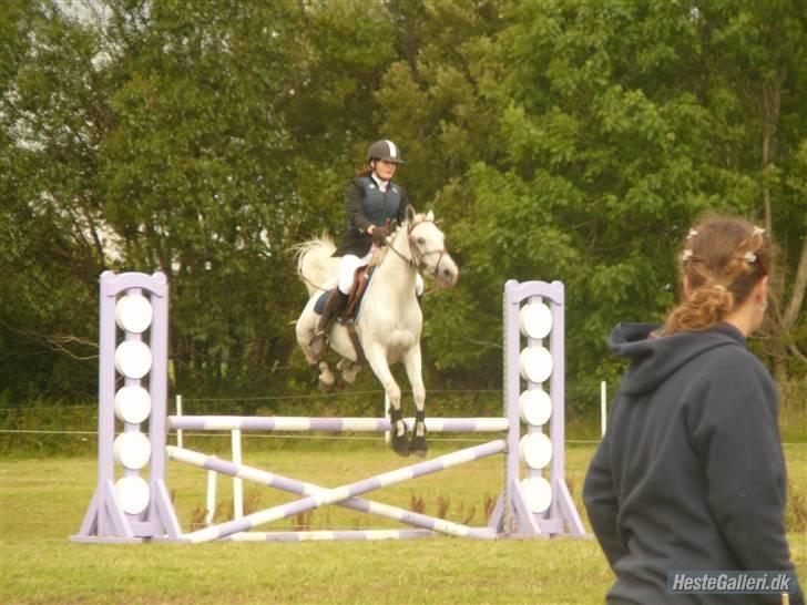 Anden særlig race Flicka(solgt ) * billede 15