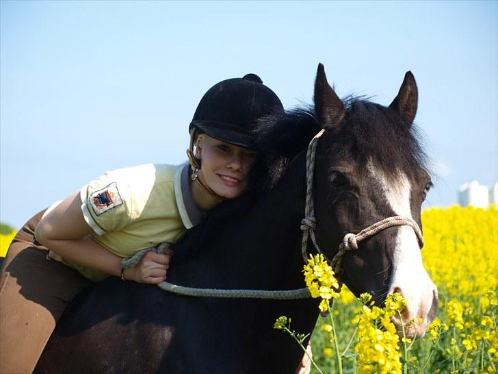 Anden særlig race Blue Eye´D Girl B-pony(x2) - 17#  putte og mig i rapsmarken<3.. du varmer mit hjerte pony (L) ILY  Foto : Ida billede 19