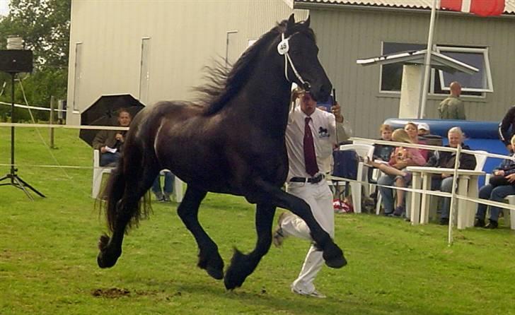 Frieser #GABE#STER# ****RIP**** 17 marts 2011 - velkommen.. Gabe kåring Ringsted 2007 Ster billede 1