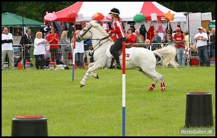 Connemara Lucky strike - . jeg elskerdigLucky <3 billede 1